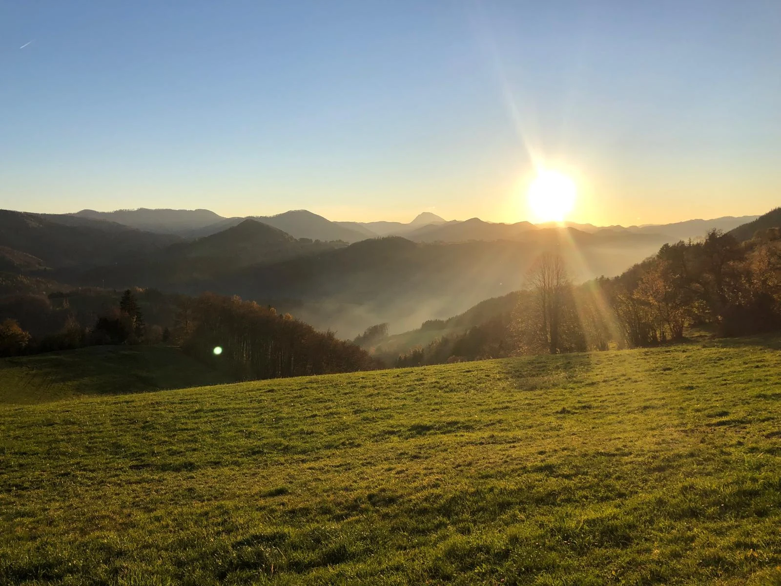 Balance in Dir - Kinesiologie, Cranio Sacral, Theki® Bewusstseinstraining