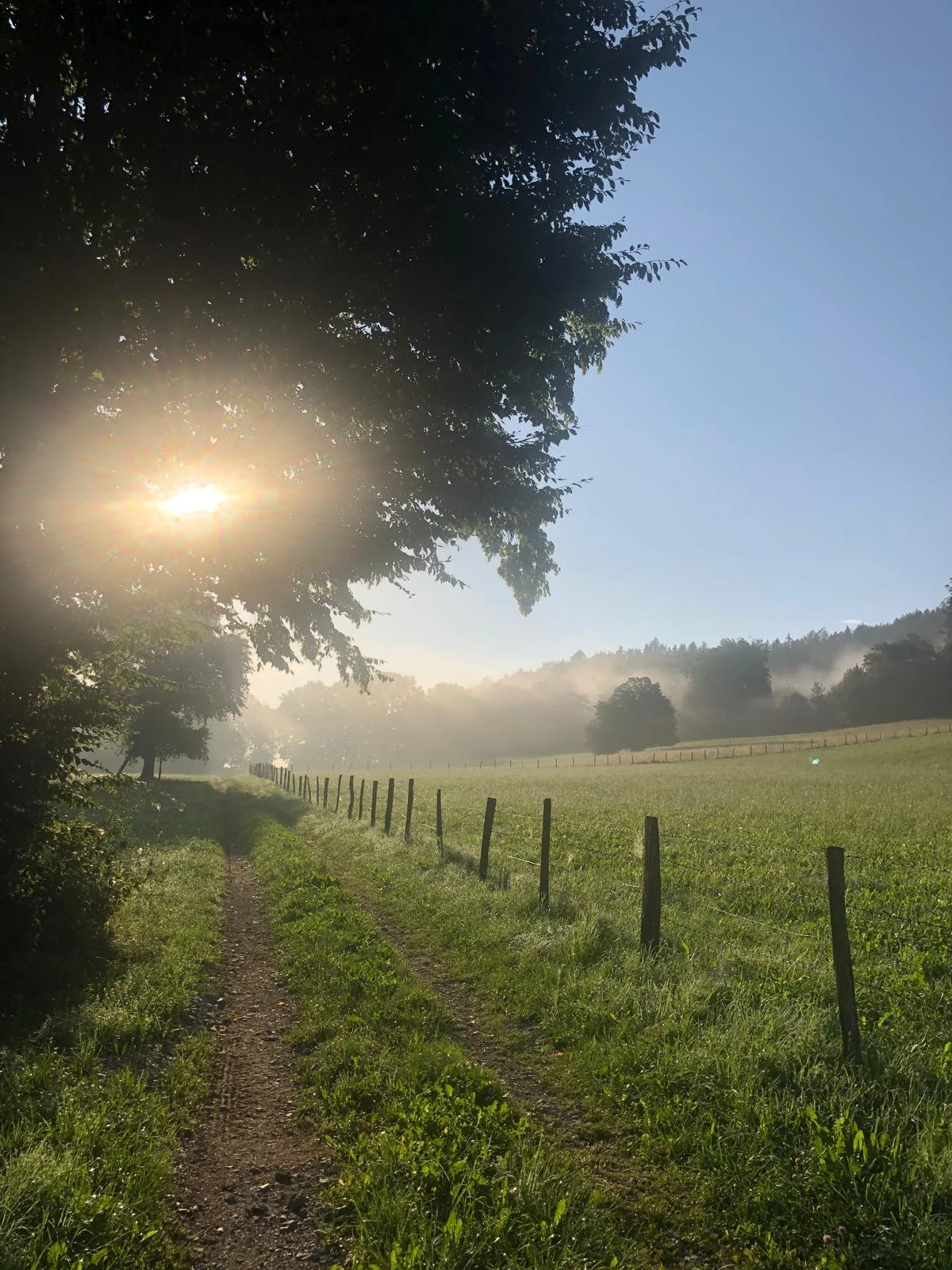 Roswitha Zagler - Balance in Dir - Kinesiologie, Cranio Sacral, Theki® Bewusstseinstraining