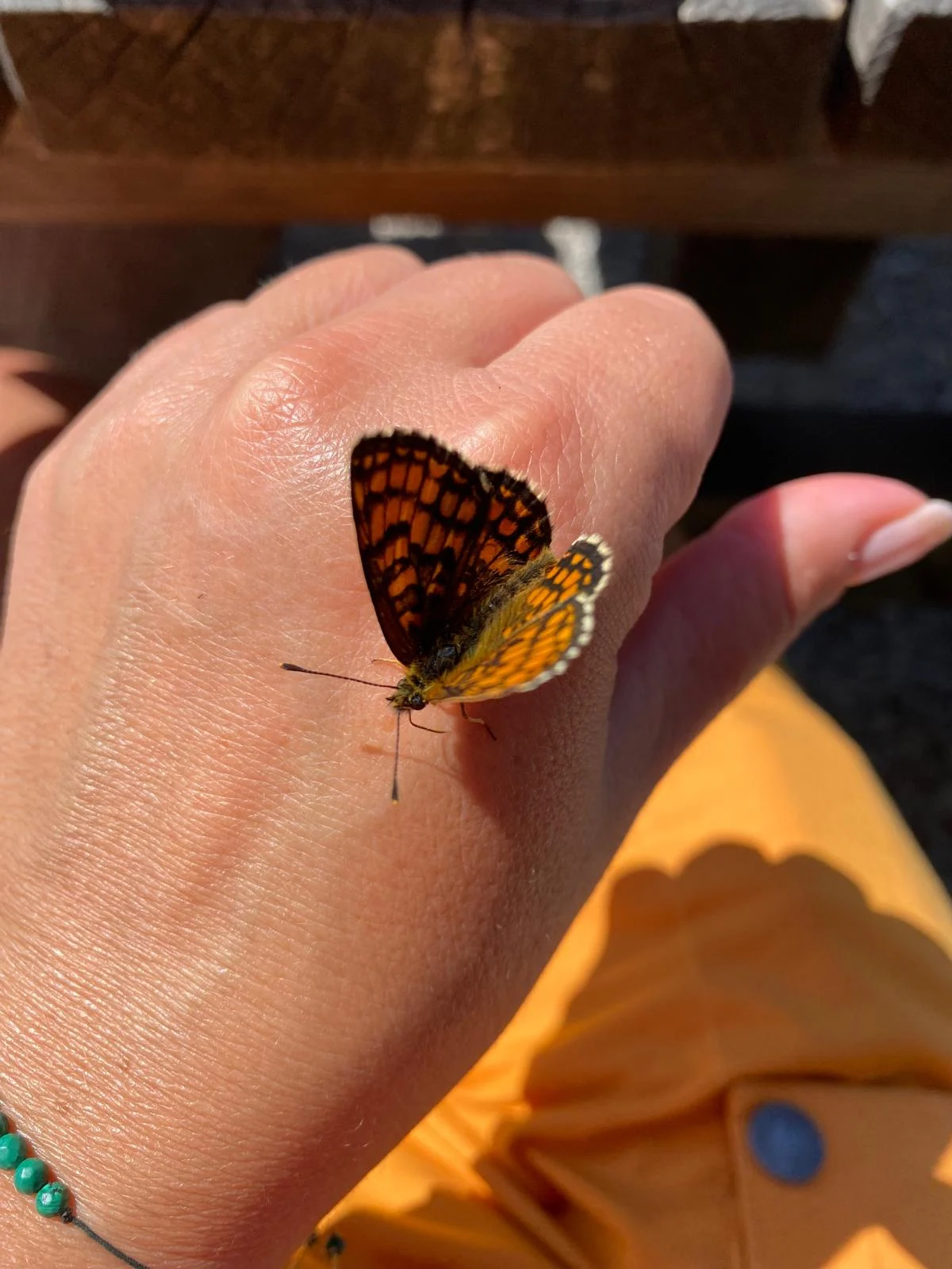 Balance in Dir - Kinesiologie, Cranio Sacral, Theki® Bewusstseinstraining